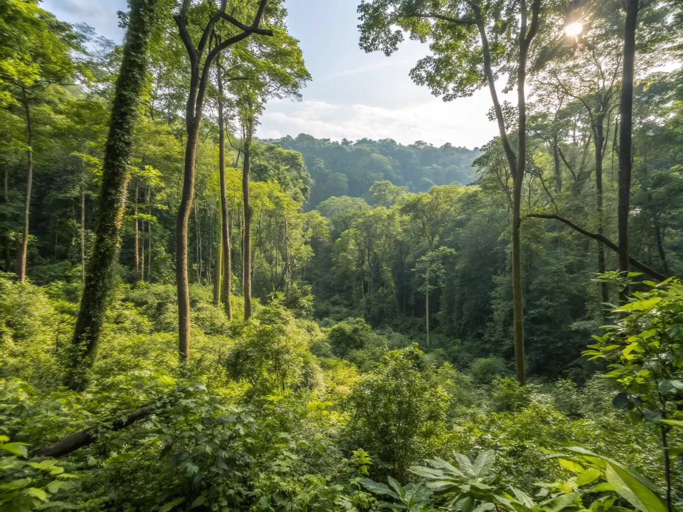 A lush, green forest scene with diverse wildlife, representing the organization's commitment to habitat protection and biodiversity.